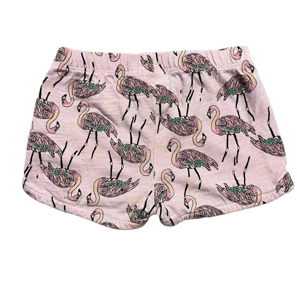 Rosie Pope 12m Flamingo Shorts Set